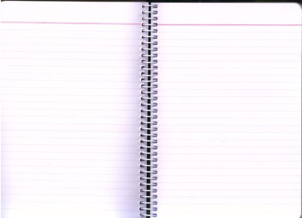 Shipra Madhubani A5 Spiral Notebook Ruled, Smooth Paper 70 GSM, 300 Pages, Spiral Binding